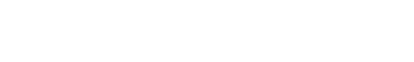 ANII Logo